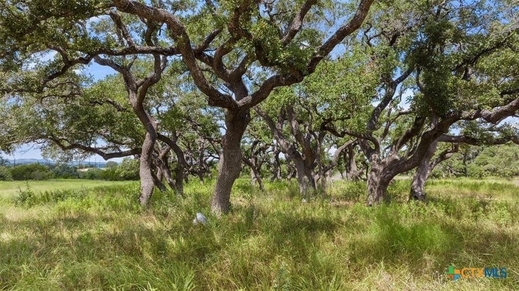5 acres in Blanco County - photo 2