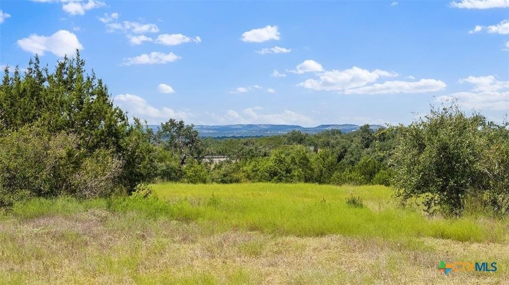 5 acres in Blanco County - photo 19