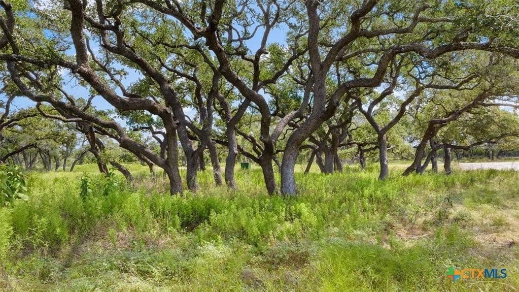 5 acres in Blanco County - photo 21