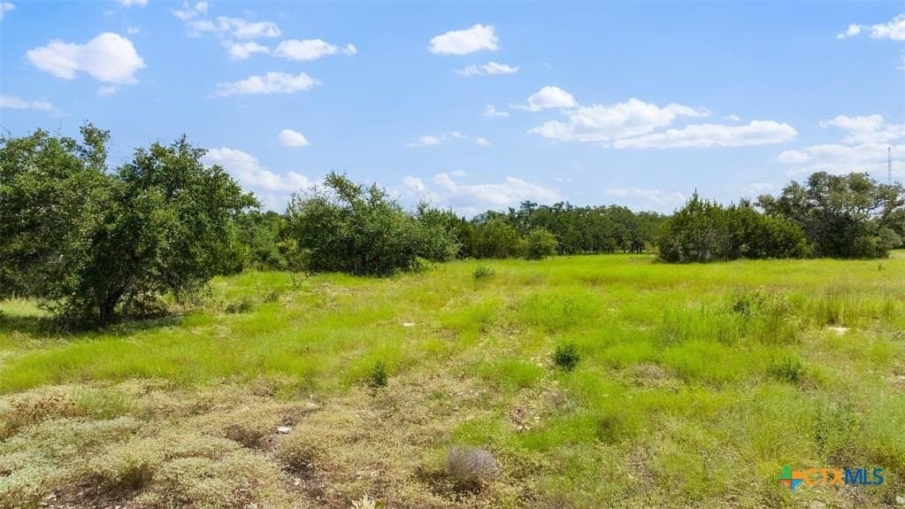 5 acres in Blanco County - photo 24