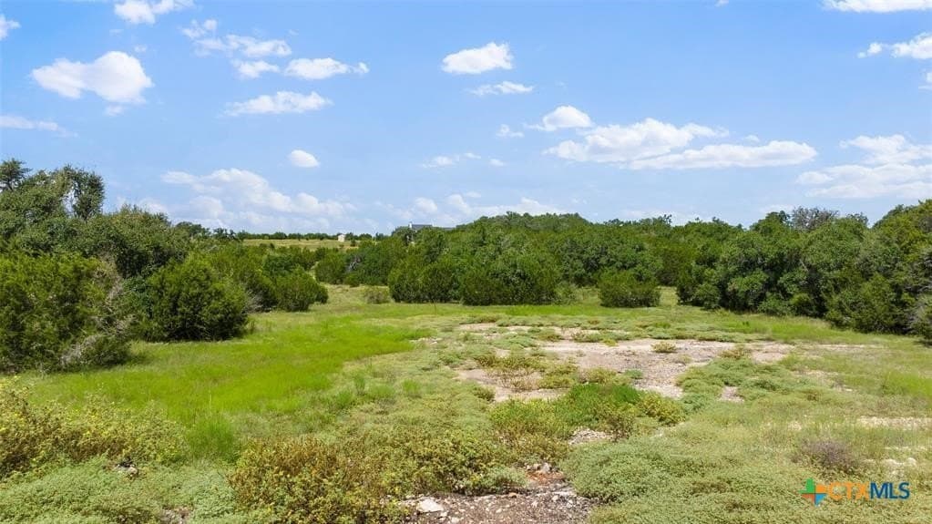 5 acres in Blanco County - photo 25