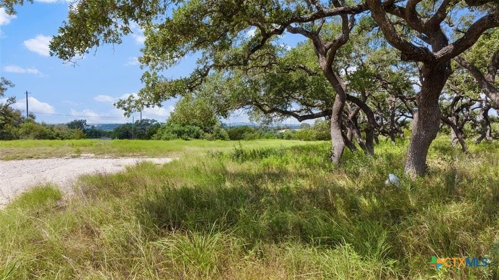5 acres in Blanco County - photo 18