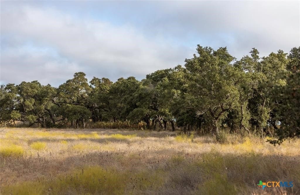 5 acres in Blanco County - photo 5