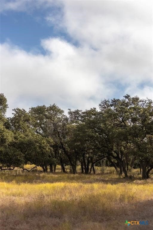5 acres in Blanco County - photo 9