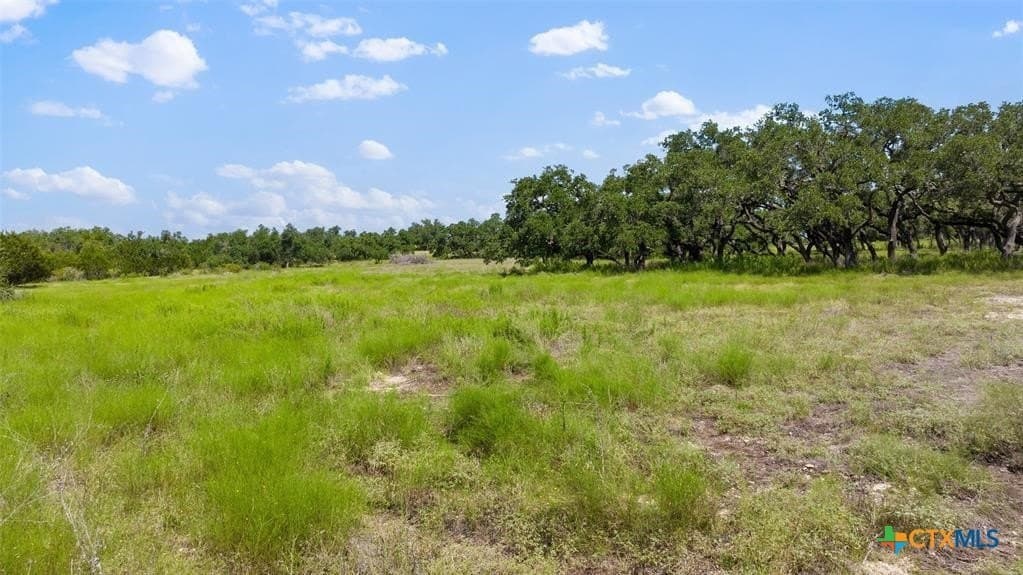 5 acres in Blanco County - photo 28