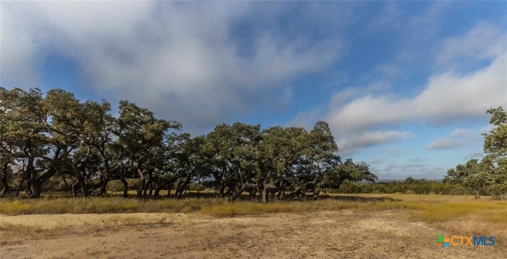 5 acres in Blanco County - photo 11