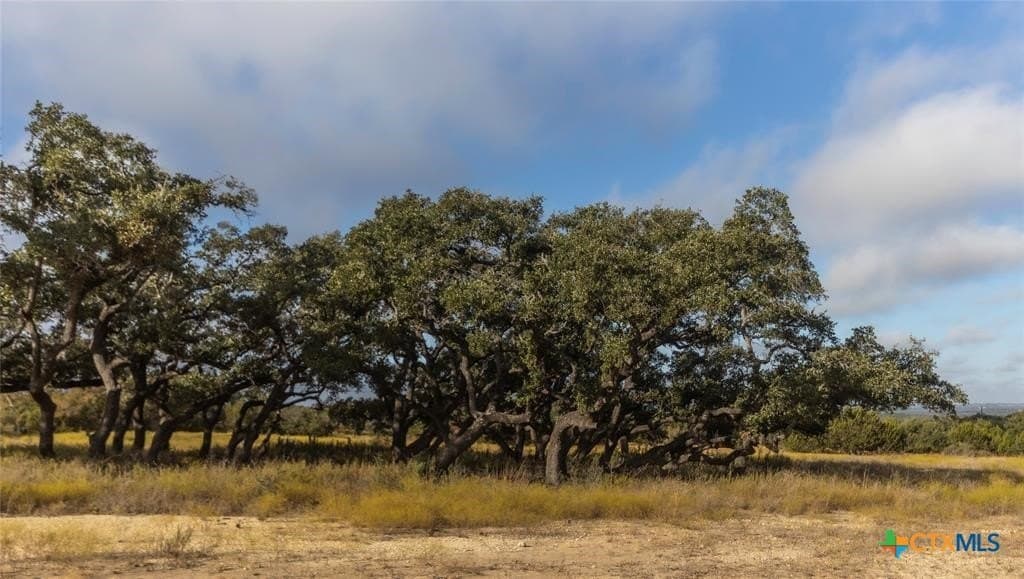 5 acres in Blanco County - photo 12