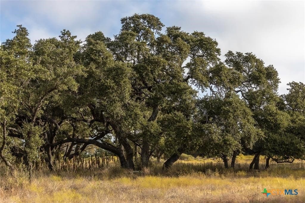 5 acres in Blanco County - photo 7
