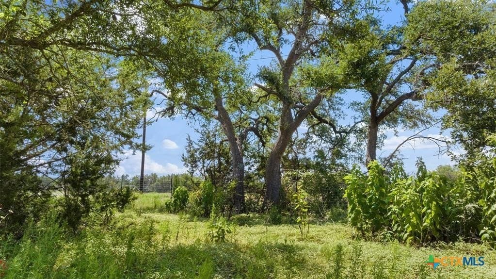 5 acres in Blanco County - photo 26