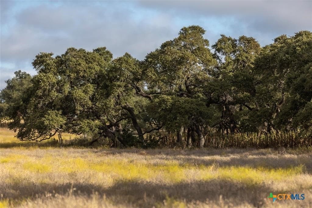 5 acres in Blanco County - photo 8
