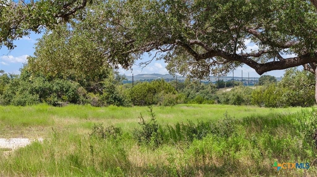 5 acres in Blanco County - photo 17