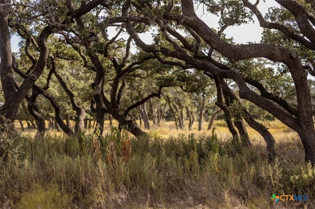 5 acres in Blanco County - photo 10
