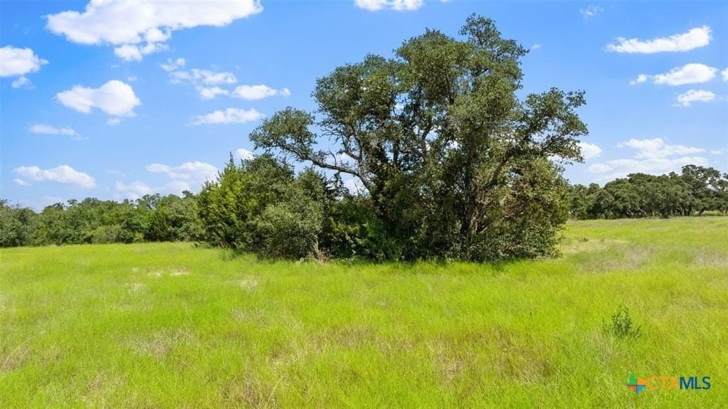 5 acres in Blanco County - photo 23