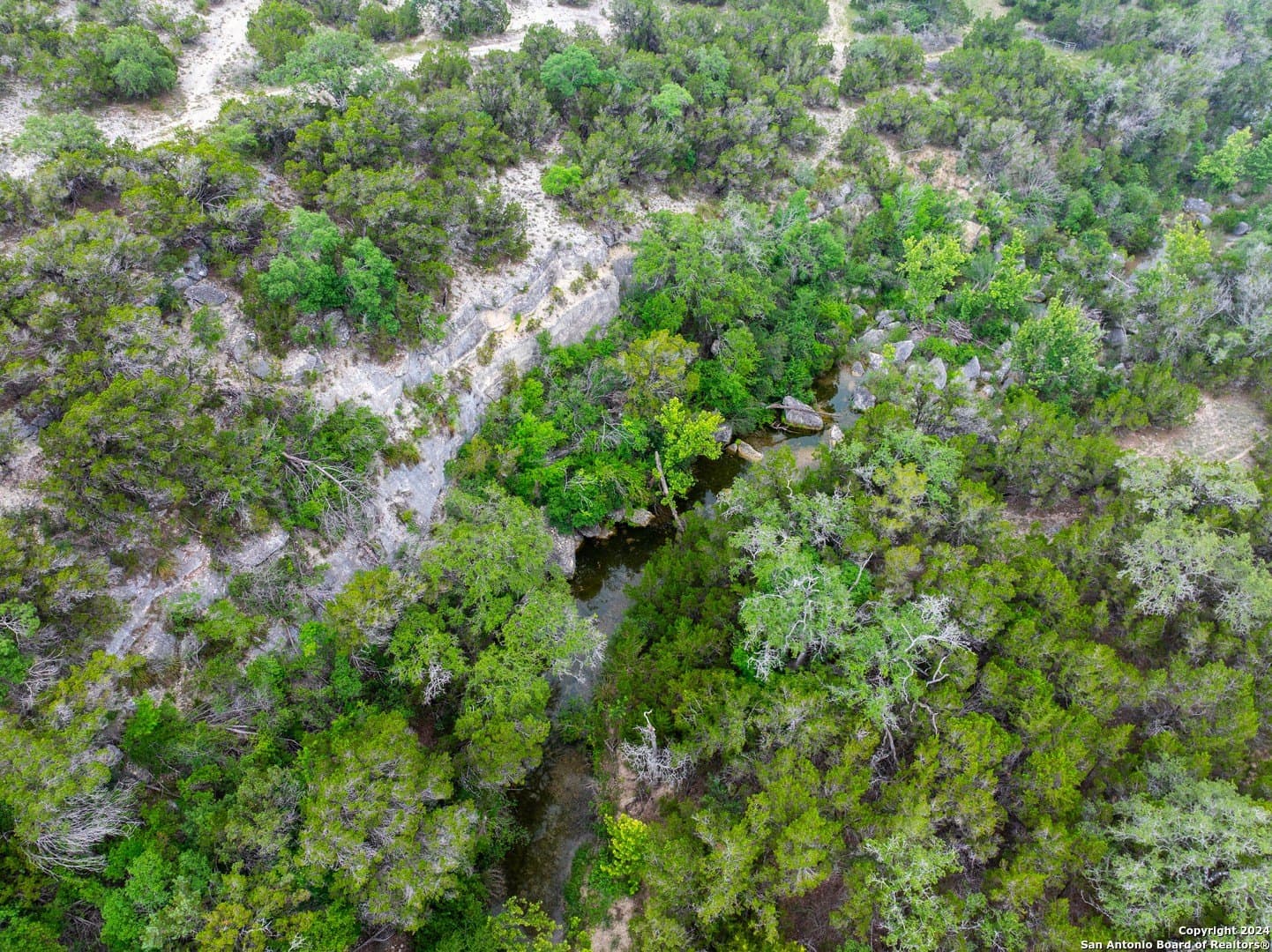 24.29 acres in Bexar County - photo 6