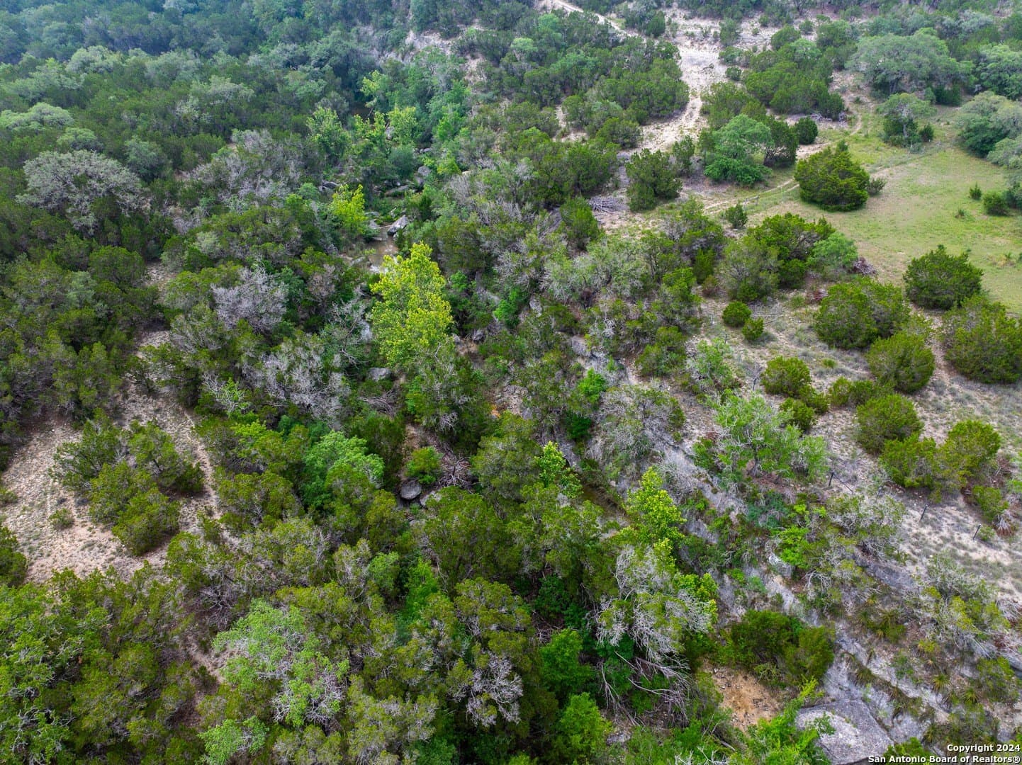24.29 acres in Bexar County - photo 4