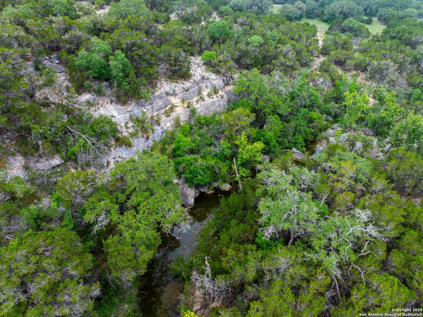 24.29 acres in Bexar County - photo 5