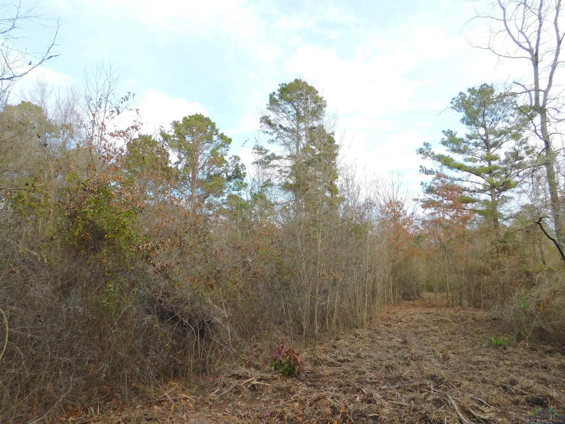 12.46 acres in Texas County - photo 4