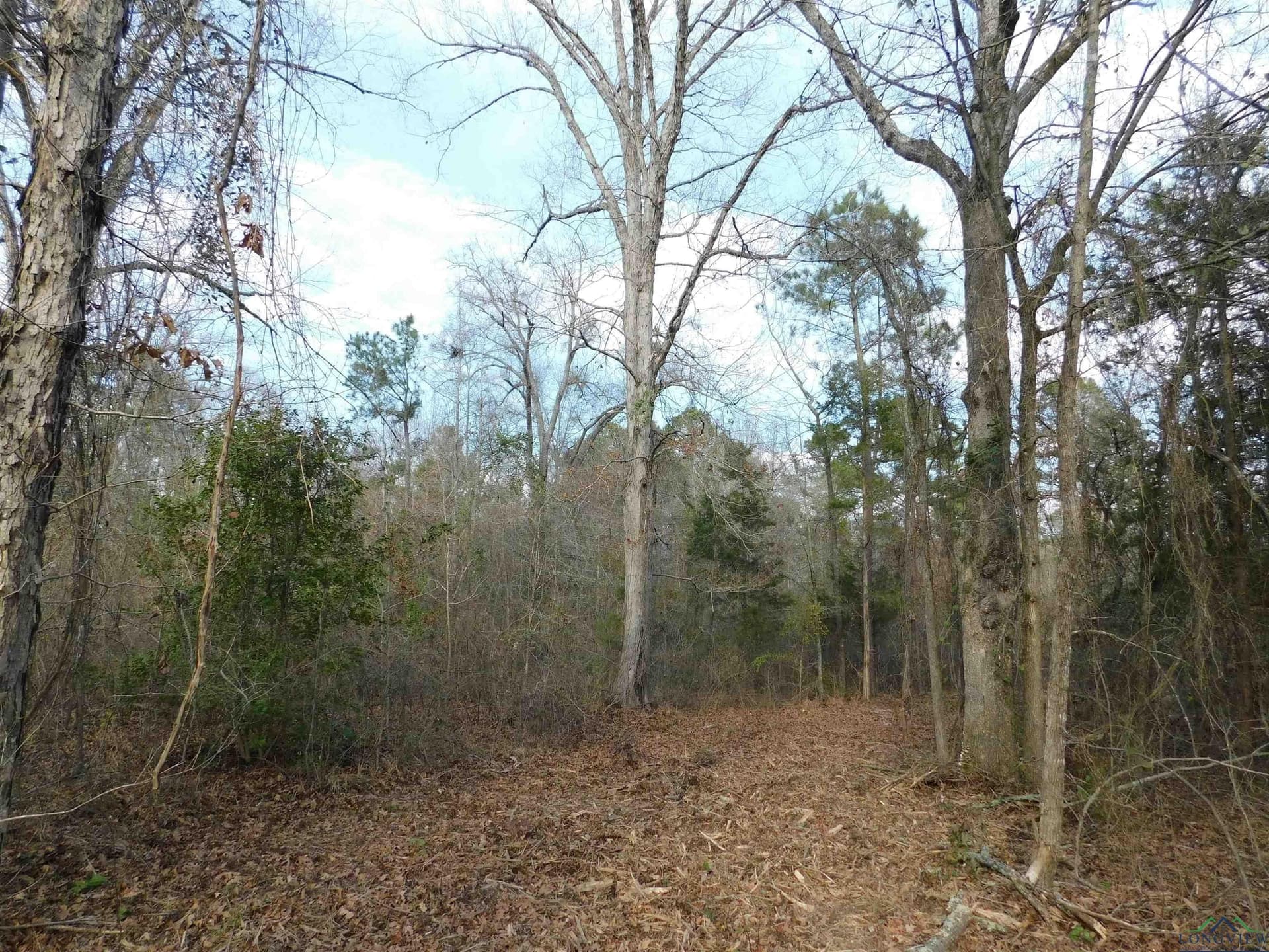 12.46 acres in Texas County - photo 2