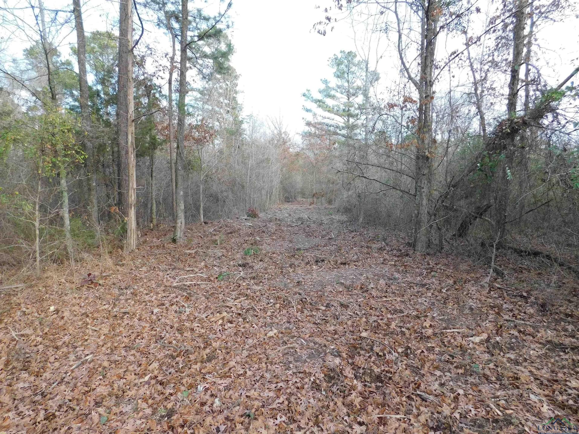 12.46 acres in Texas County - photo 3