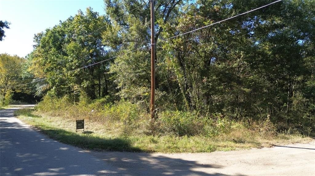 0.18 acres in Henderson County - photo 2