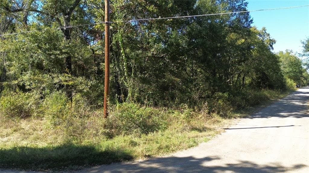 0.18 acres in Henderson County - photo 3