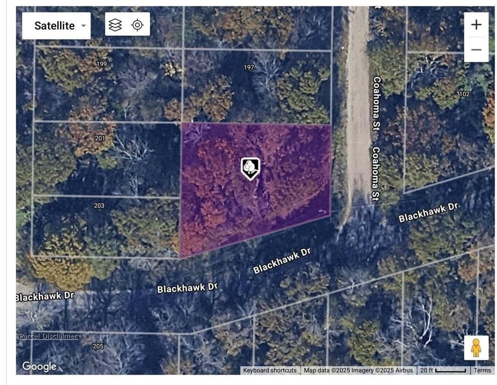 0.18 acres in Henderson County - photo 12