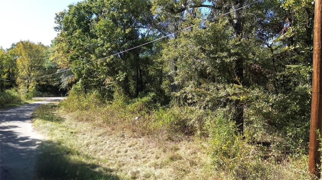 0.18 acres in Henderson County - photo 5