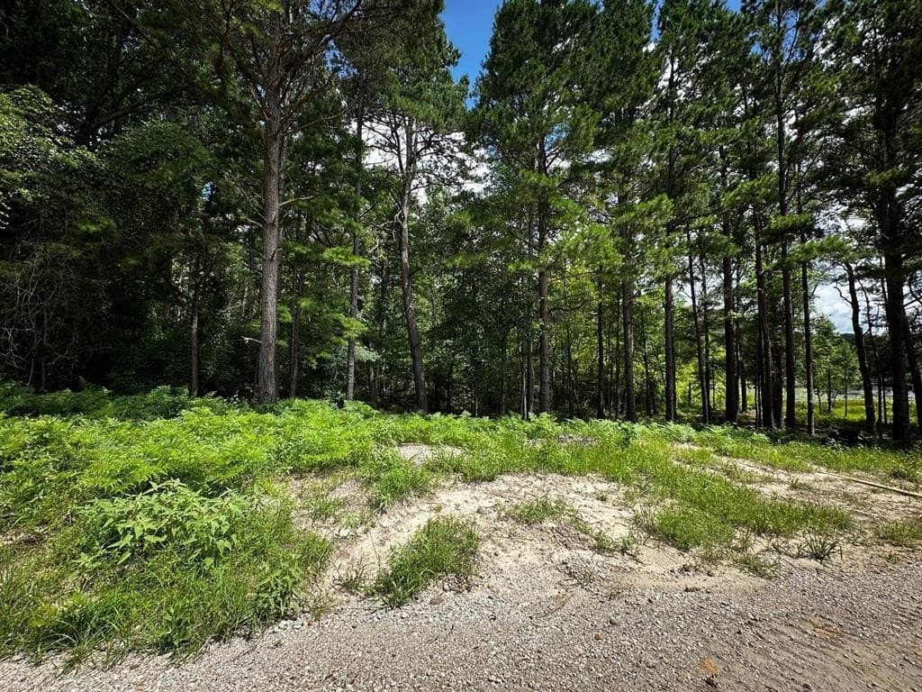 141.71 acres in Anderson County - photo 28