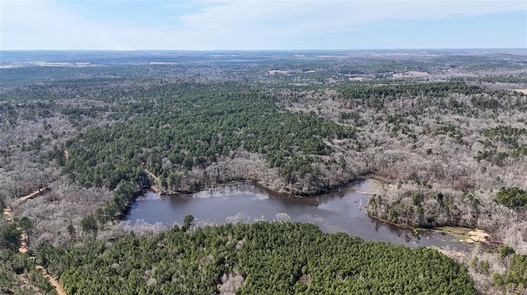 141.71 acres in Anderson County - photo 5
