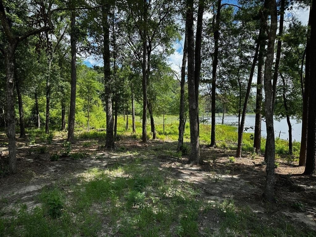 141.71 acres in Anderson County - photo 18