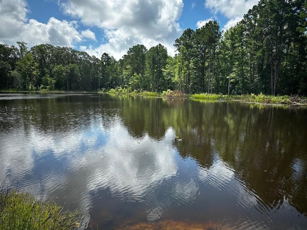 141.71 acres in Anderson County - photo 14