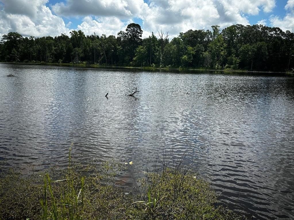 141.71 acres in Anderson County - photo 17