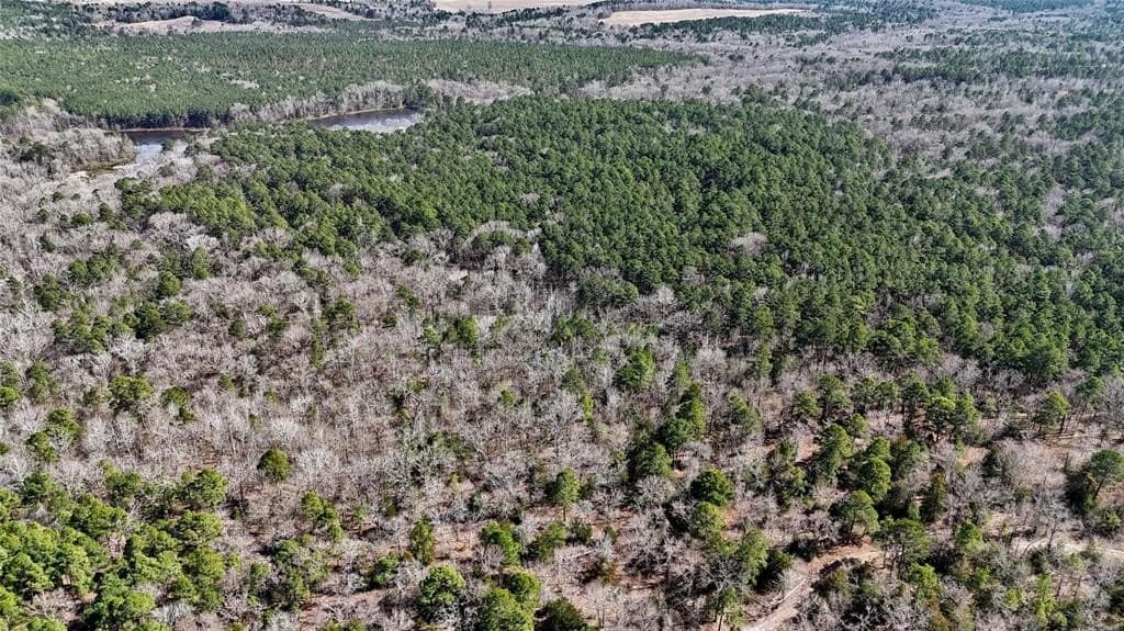 141.71 acres in Anderson County - photo 8