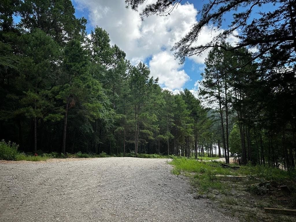 141.71 acres in Anderson County - photo 27