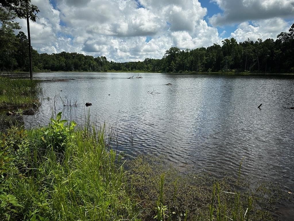 141.71 acres in Anderson County - photo 16