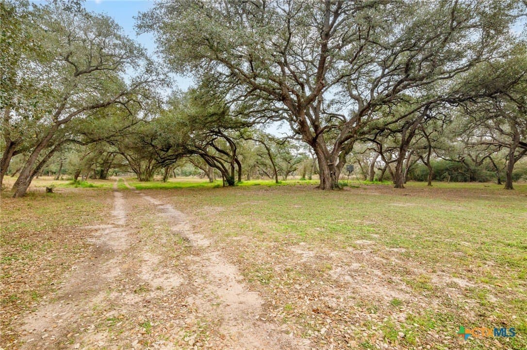 13.73 acres in Victoria County - photo 16