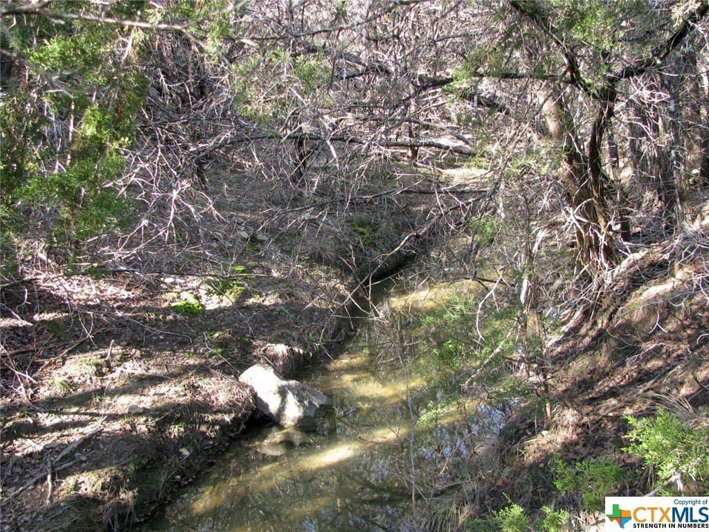 10.01 acres in Hamilton County - photo 4
