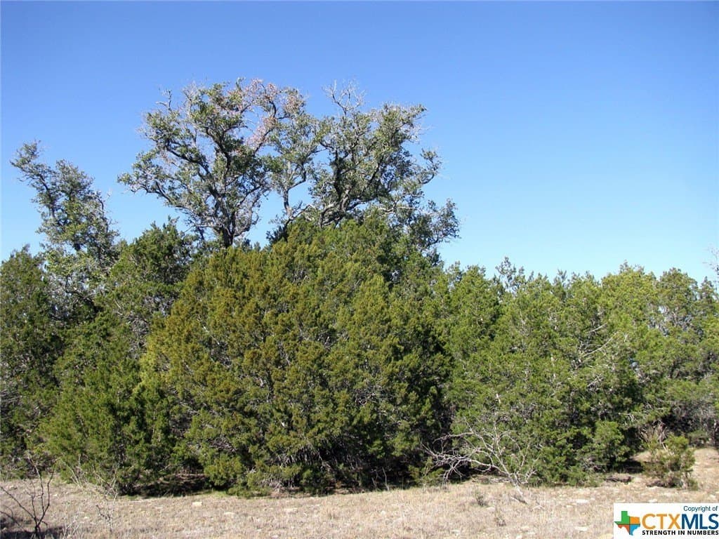 10.01 acres in Hamilton County - photo 15