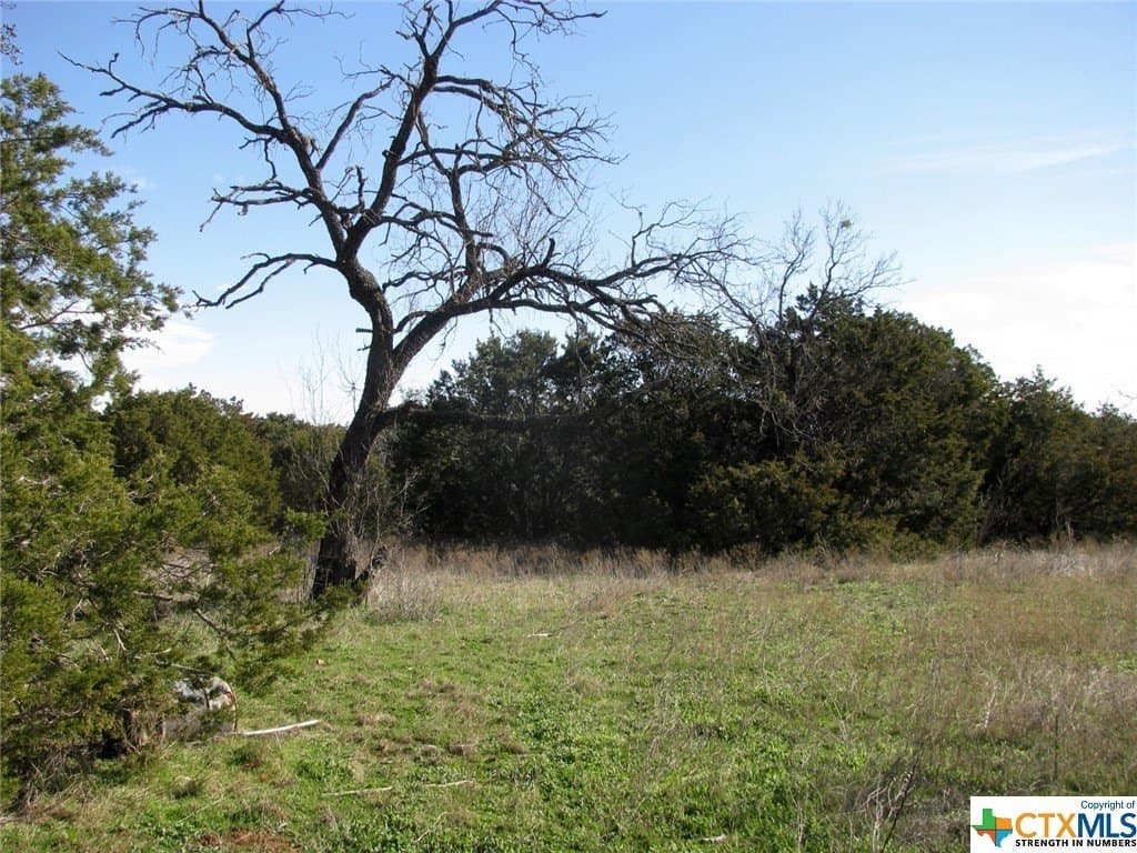 10.01 acres in Hamilton County - photo 5