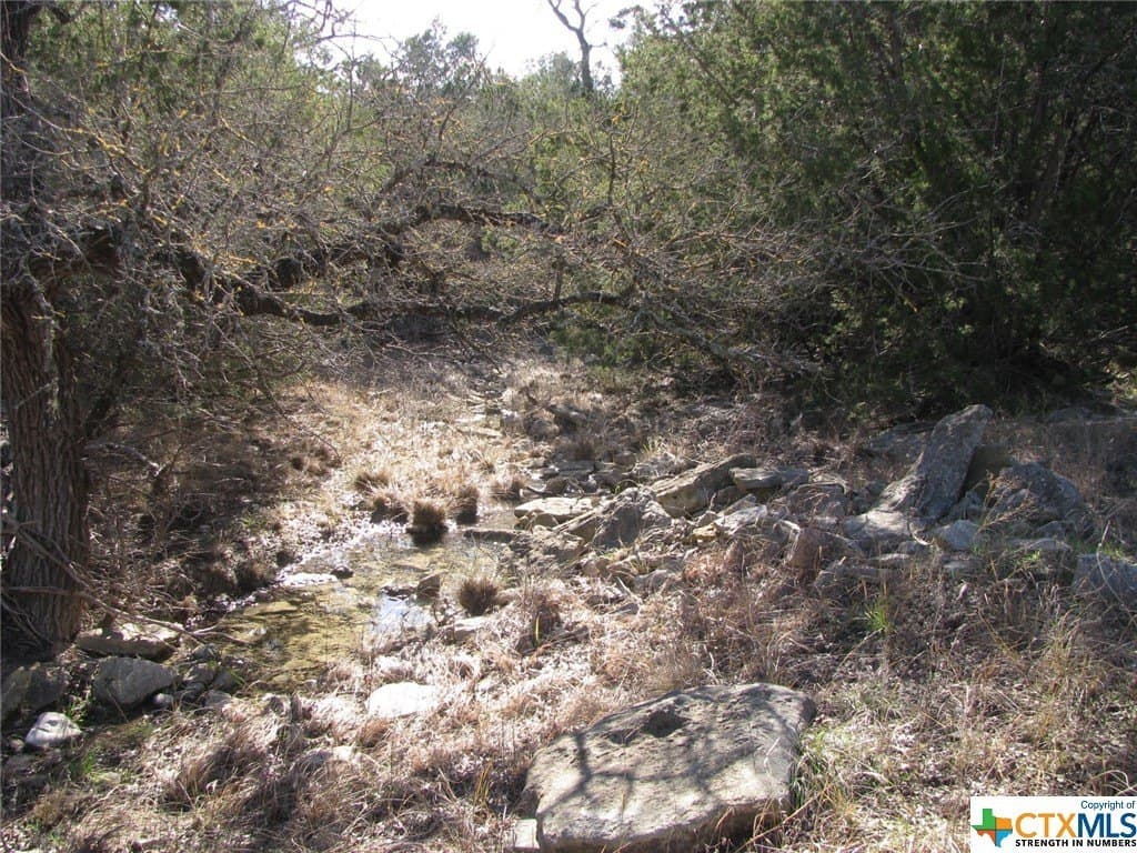 10.01 acres in Hamilton County - photo 3
