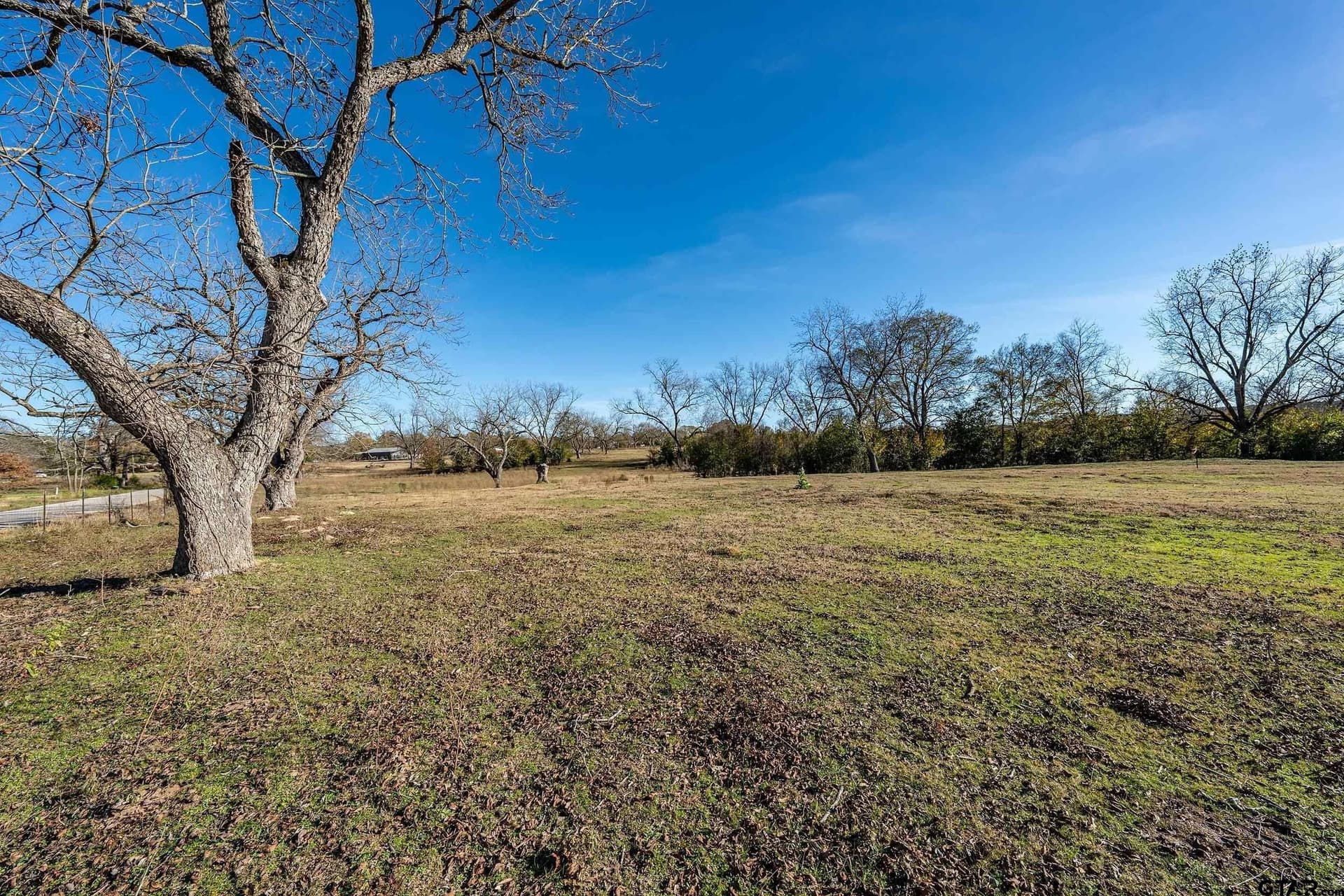 28.06 acres in Smith County - photo 2