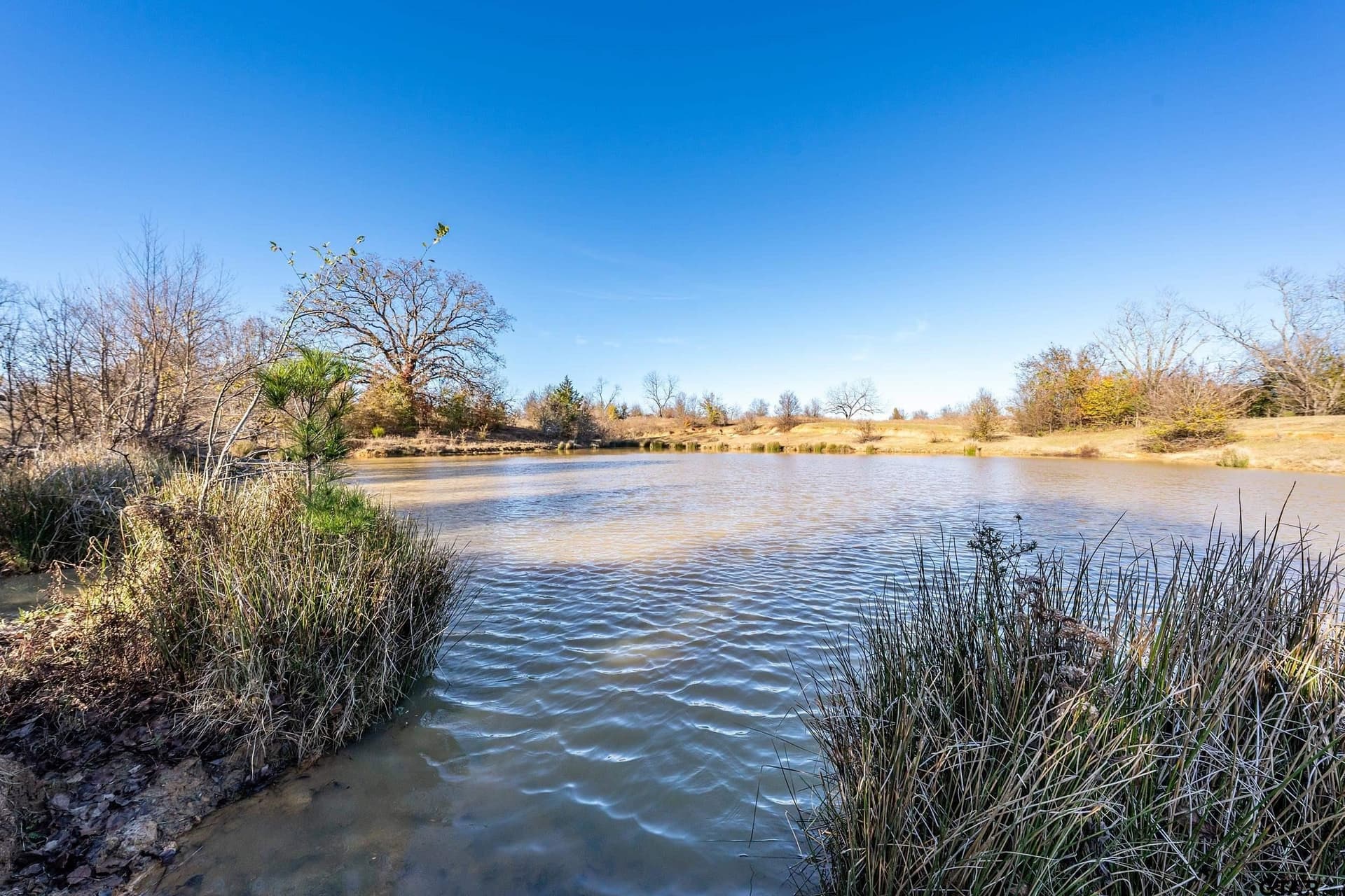 14461 County Road 46 (Lot 3)