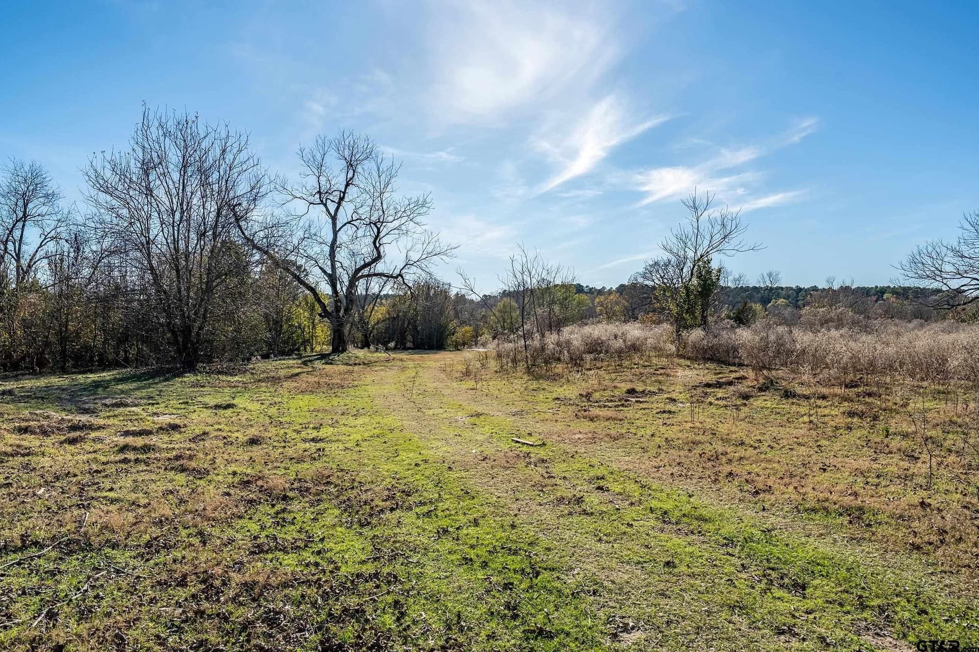 28.06 acres in Smith County - photo 5