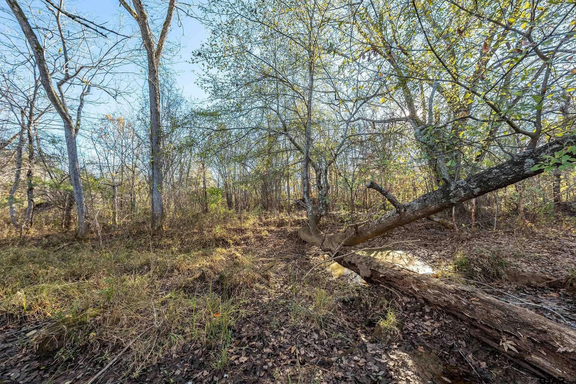 28.06 acres in Smith County - photo 7