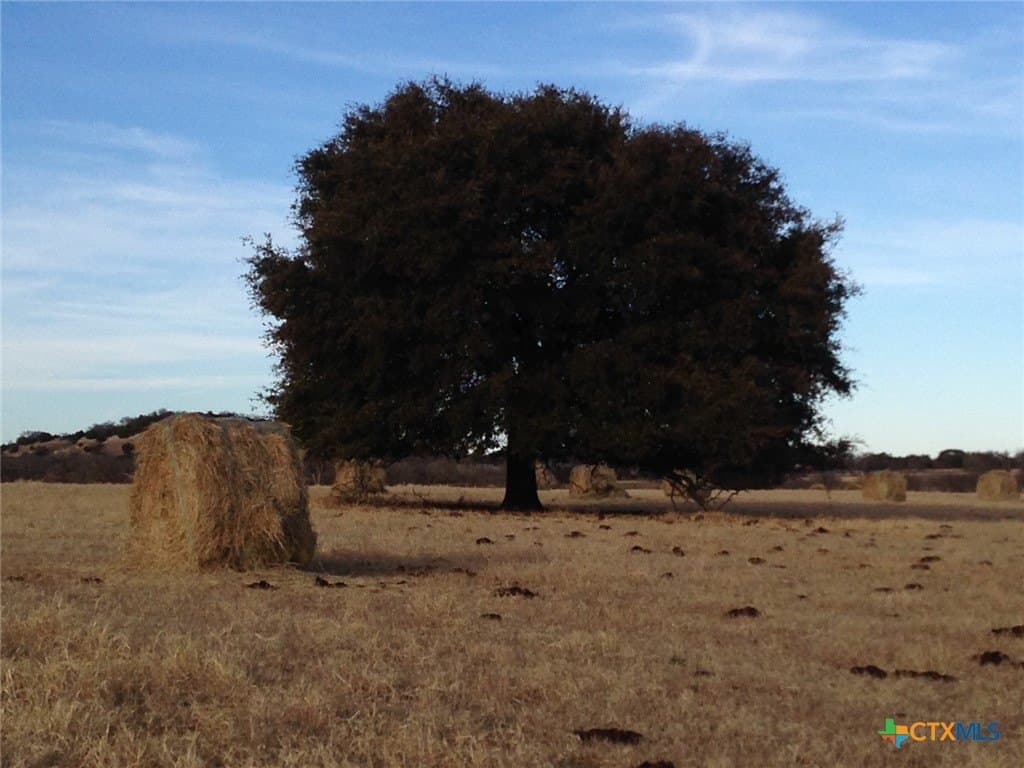 276 acres in Mills County - photo 30
