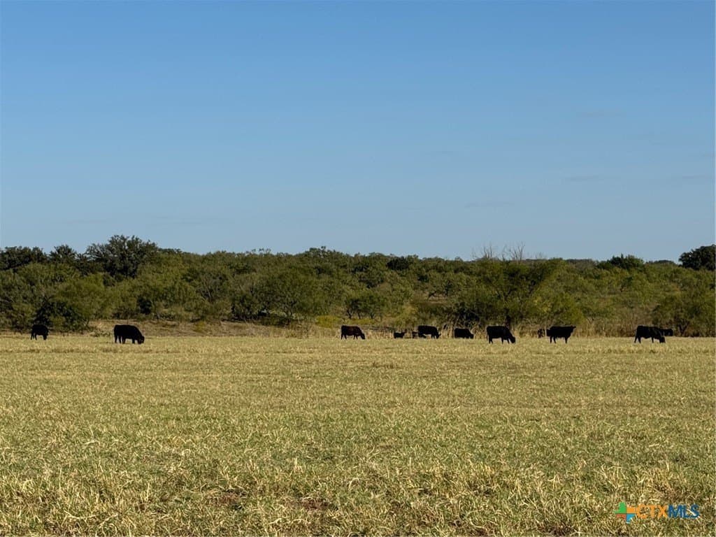 276 acres in Mills County - photo 29