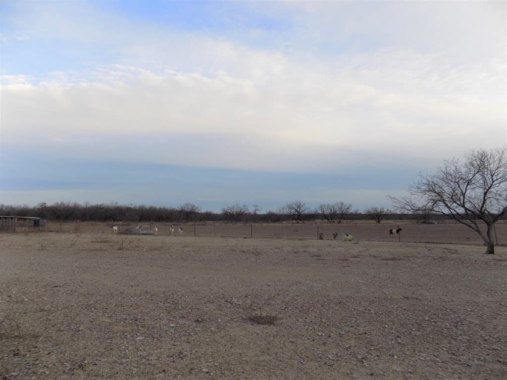 20.18 acres in Maverick County - photo 8