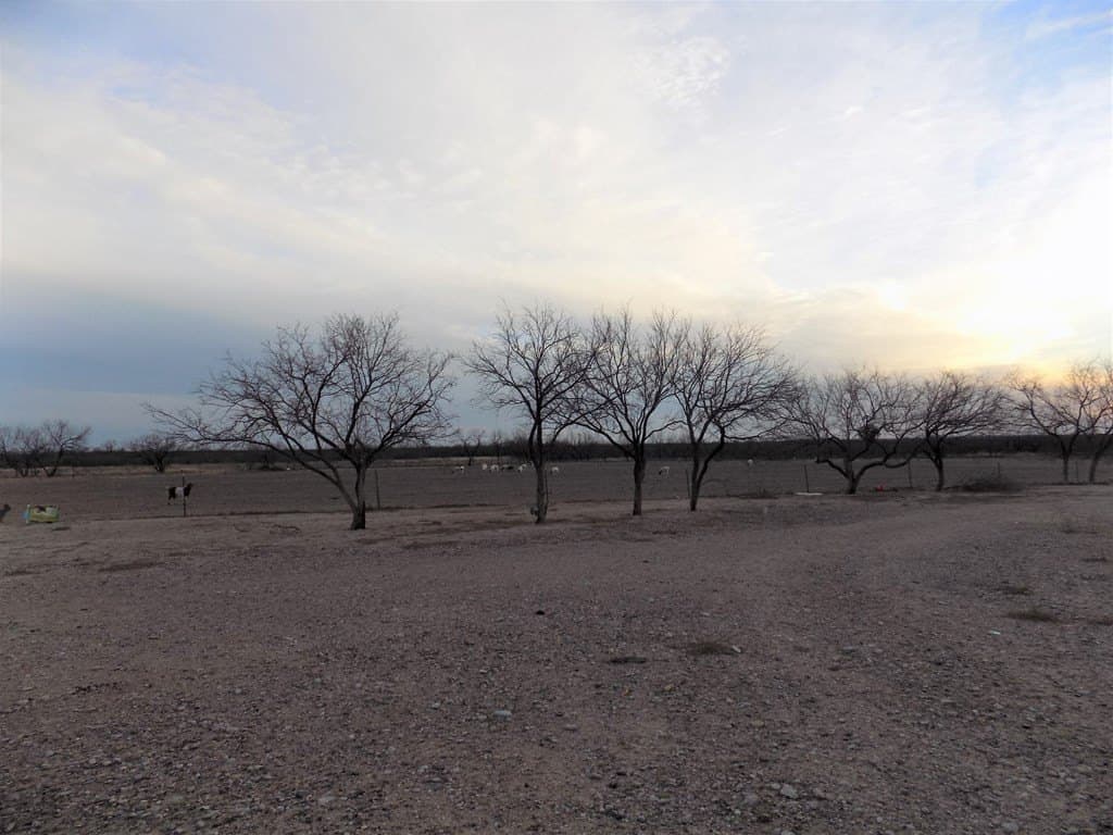 20.18 acres in Maverick County - photo 7