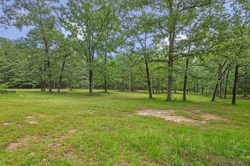 10 acres in Texas County - photo 29