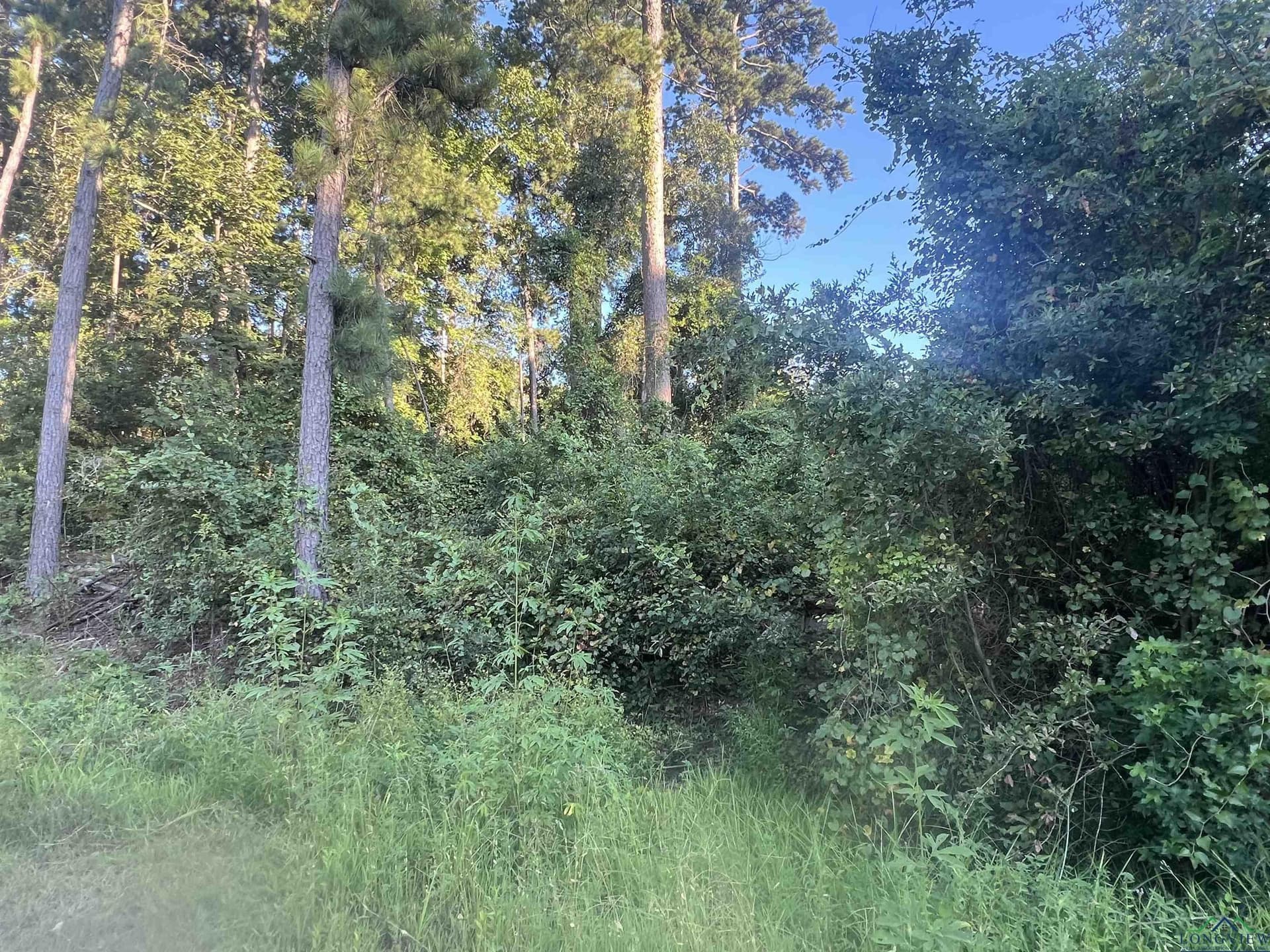 0 acres in Upshur County - photo 2